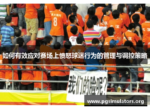 如何有效应对赛场上愤怒球迷行为的管理与调控策略 如何有效应对赛场上愤怒球迷行为的管理与调控策略