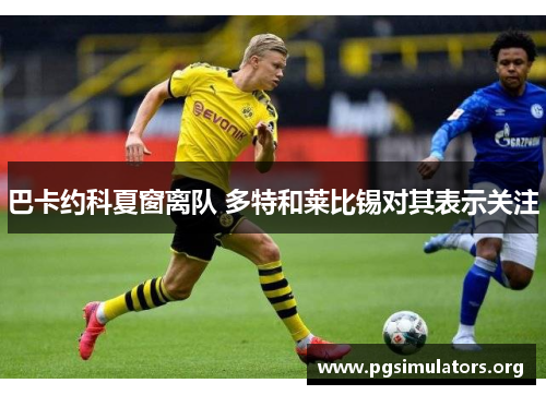 巴卡约科夏窗离队 多特和莱比锡对其表示关注 巴卡约科夏窗离队 多特和莱比锡对其表示关注