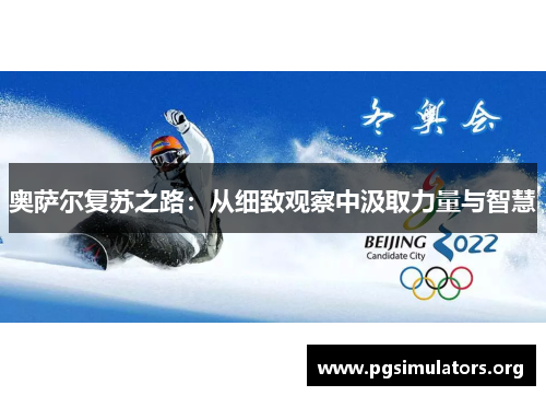 奥萨尔复苏之路：从细致观察中汲取力量与智慧