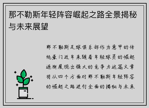 那不勒斯年轻阵容崛起之路全景揭秘与未来展望