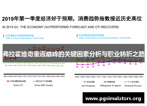 弗拉霍维奇重返巅峰的关键因素分析与职业转折之路