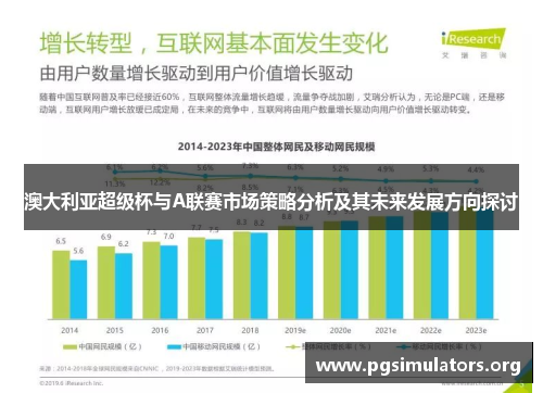 澳大利亚超级杯与A联赛市场策略分析及其未来发展方向探讨
