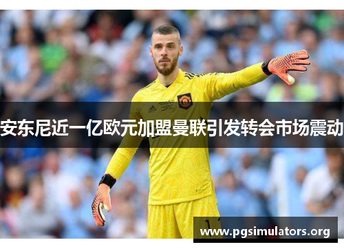 安东尼近一亿欧元加盟曼联引发转会市场震动