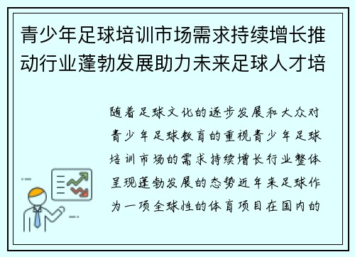 青少年足球培训市场需求持续增长推动行业蓬勃发展助力未来足球人才培养